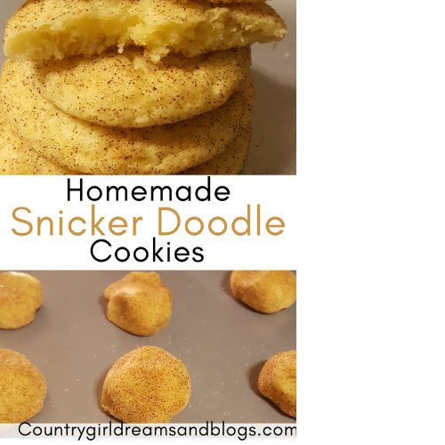 Snicker Doodle Cookies