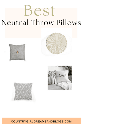 Neutral Throw Pillows