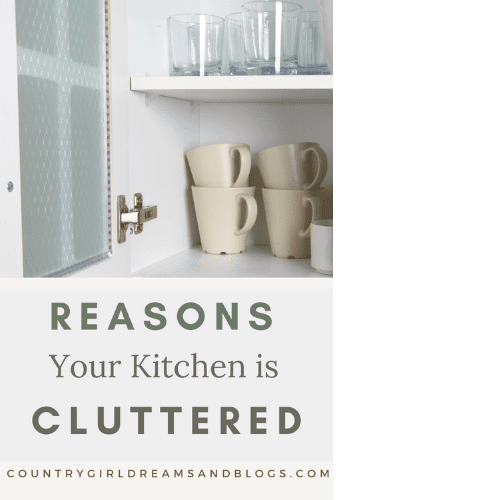 Reasons Your Kitchen is Cluttered