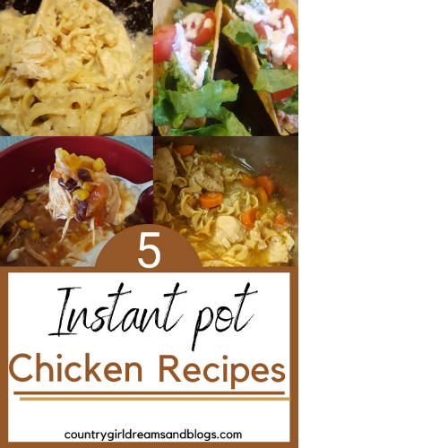 5 Chicken Recipes for the Instant Pot